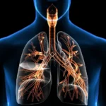 Lung Problems: Causes, Symptoms, Prevention & Treatment