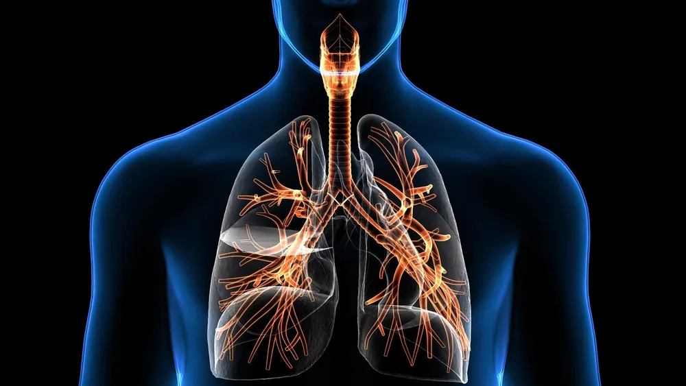 Lung Problems: Causes, Symptoms, Prevention & Treatment